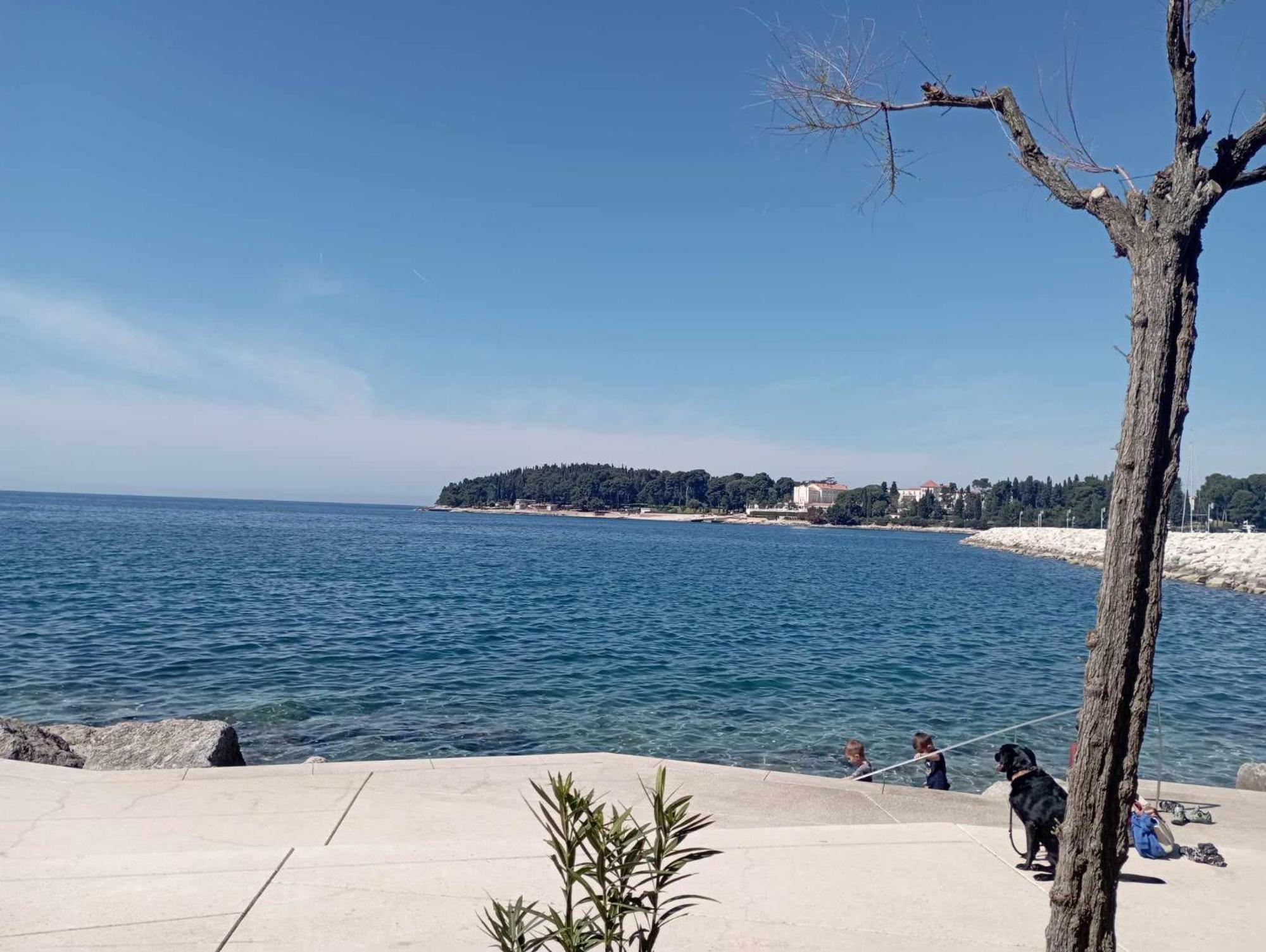 Apartman Angela Rovinj Bagian luar foto